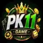 PK11 Game